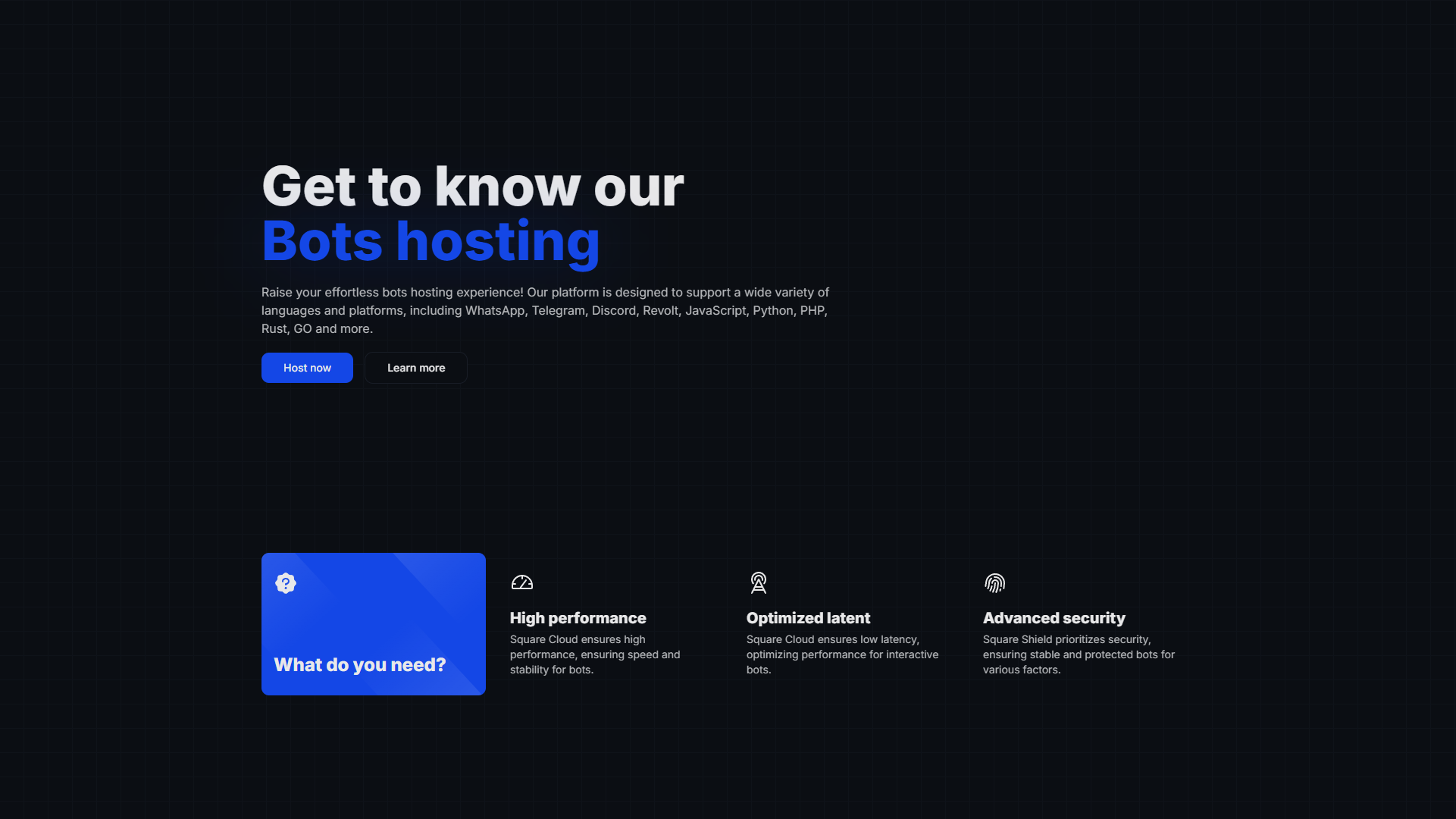 Bot Hosting